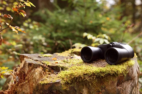 Binoculars Tree Stump Forest Space Text — Stock Photo, Image