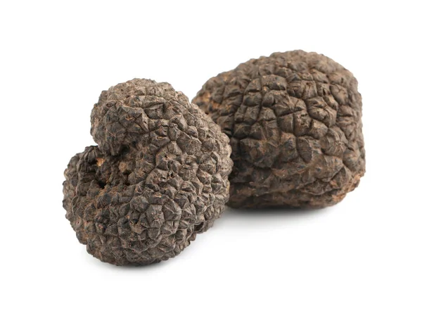 Taze siyah trüf mantarı beyaza izole edilmiş.