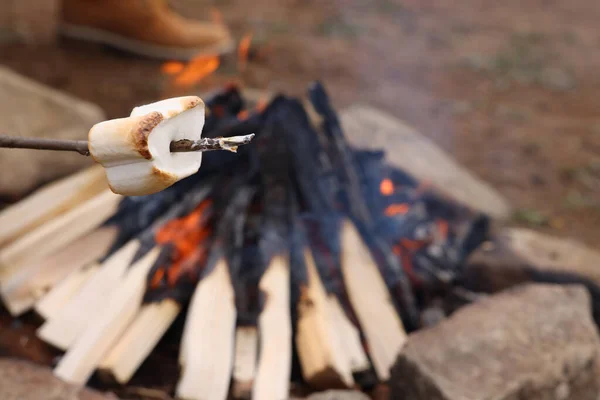 Köstliche Eibisch Braten Über Dem Lagerfeuer Nahaufnahme Raum Für Text — Stockfoto