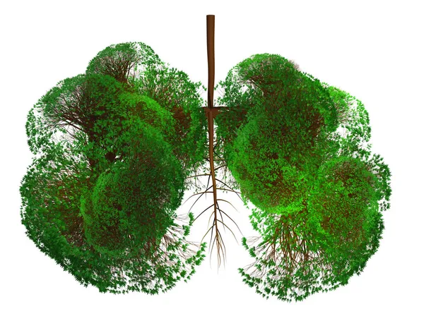 Silueta Abstracta Los Pulmones Hecha Árboles Con Hojas Verdes Sobre — Foto de Stock