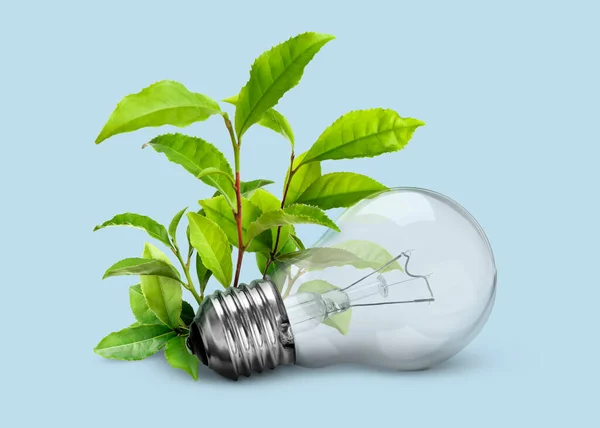Saving Energy Eco Friendly Lifestyle Light Bulb Fresh Green Leaves — Stock Photo, Image
