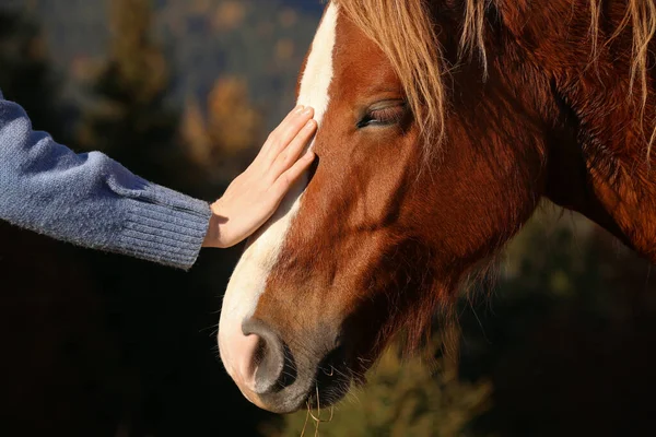 晴れた日に美しい馬を屋外で狩り女 クローズアップ — ストック写真