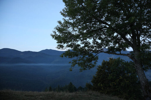 Amazing view of beautiful foggy mountains in morning