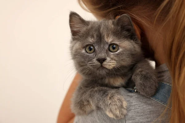 Schattig Klein Meisje Met Kitten Lichte Achtergrond Close Met Ruimte — Stockfoto