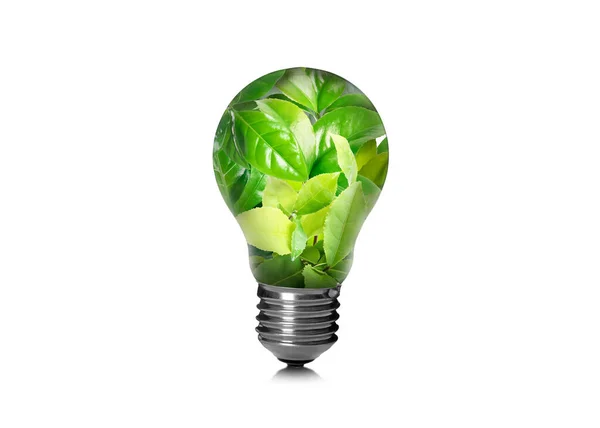 Saving Energy Eco Friendly Lifestyle Fresh Green Leaves Light Bulb — Stock Photo, Image