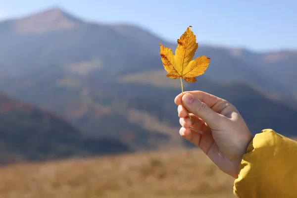 女人抱着美丽的秋叶在山上 案文的篇幅 — 图库照片
