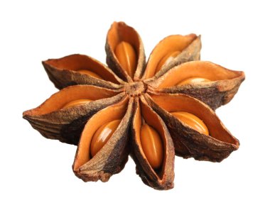 Kuru anason yıldızı beyaz üzerine izole tohumlar ile