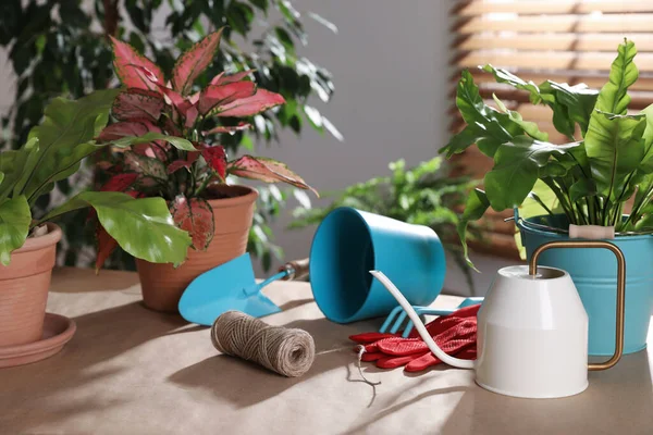 Güzel ev bitkileri ve bahçe aletleri içerideki masada.