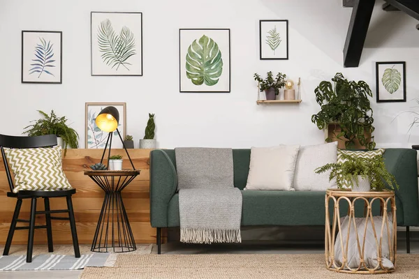 Interior Elegante Sala Estar Com Sofá Confortável Plantas Verdes — Fotografia de Stock