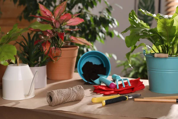 아름다운 화초와 정원용 도구를 실내에서 — 스톡 사진
