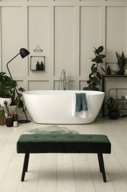 Modern küvet ve güzel ev bitkileriyle dolu şık bir banyo. Ev tasarımı