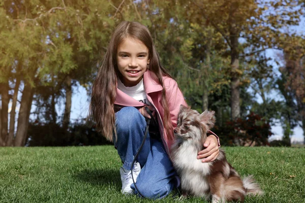 Menina Com Seu Cão Bonito Parque Passeio Outono — Fotografia de Stock
