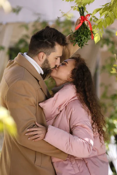 Happy Couple Kissing Mistletoe Bunch Outdoors — Stock Photo, Image