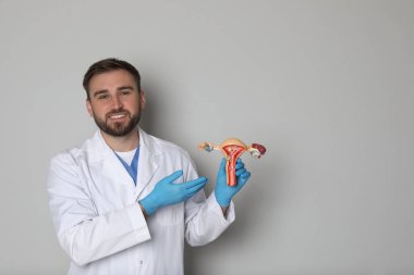 Açık gri arka planda dişi üreme sisteminin maketini gösteren doktor, yazı için boşluk. Jinekolojik bakım