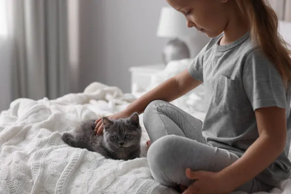 Petite Fille Mignonne Avec Chaton Sur Lit Maison Enfance Animal — Photo