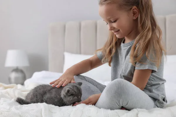 Petite Fille Mignonne Avec Chaton Sur Lit Maison Enfance Animal — Photo