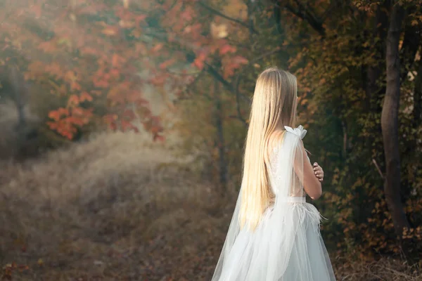 Belle Fille Portant Une Robe Fée Dans Forêt Automne — Photo