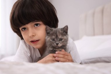 Evde yatağında kedi yavrusu olan şirin bir çocuk. Çocukluk hayvanı.