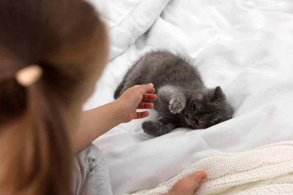 Schattig Klein Meisje Dat Met Kitten Bed Speelt Close Jeugd — Stockfoto