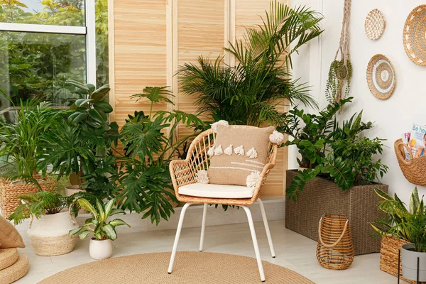 スタイリッシュな家具や緑の植物と部屋のインテリア — ストック写真