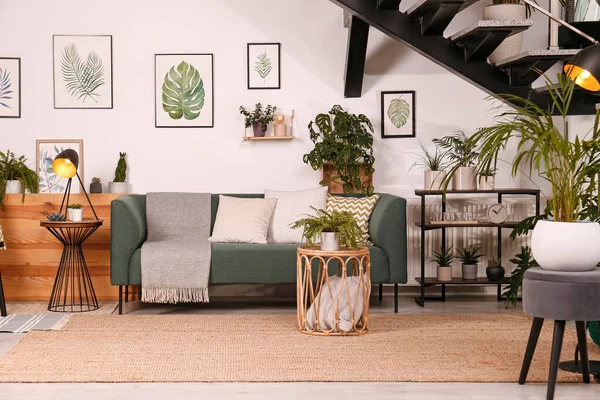 Elegante Salón Interior Con Cómodo Sofá Plantas Verdes — Foto de Stock