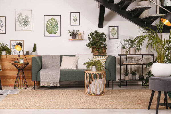 Stylish living room interior with comfortable sofa and green plants