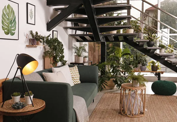 Stilvolles Wohnzimmerinterieur Mit Gemütlichem Sofa Und Grünen Pflanzen — Stockfoto
