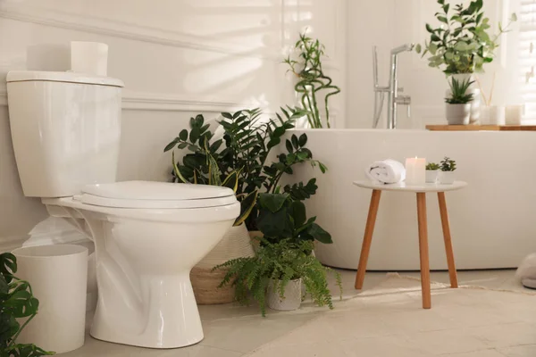 Elegante Baño Interior Blanco Con Inodoro Plantas Interior Verdes —  Fotos de Stock