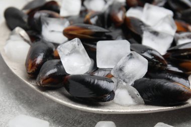 Tabak dolusu çiğ midye ve buz, yakın plan.