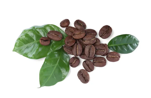 Rostade Kaffebönor Med Färska Blad Vit Bakgrund Ovanifrån — Stockfoto