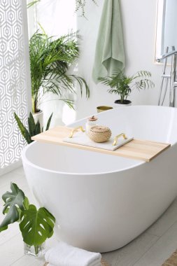 Modern küvetin, ev bitkilerinin ve güzel dekorun olduğu şık bir banyo. Ev tasarımı