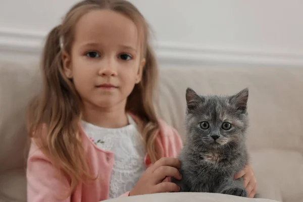 可爱的小女孩带着小猫在家里的沙发上 幼小的宠物 — 图库照片