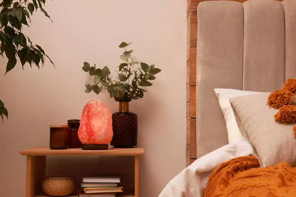 美しいヒマラヤ塩ランプとユーカリの枝が寝室に立つ — ストック写真