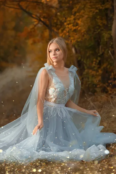 Beautiful Girl Wearing Fairy Dress Autumn Forest — Stock Photo, Image