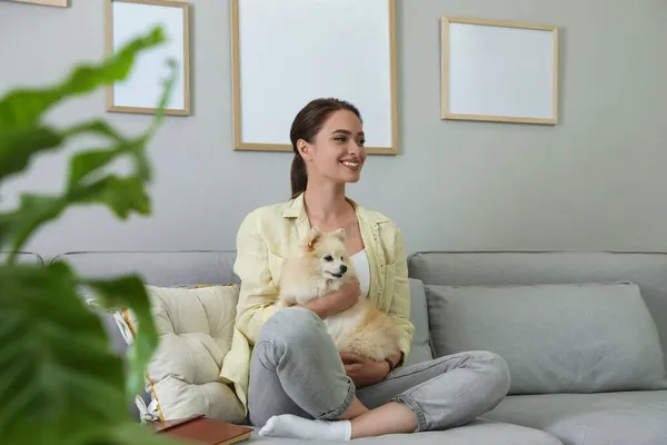 一个快乐的年轻女人 带着可爱的狗在客厅沙发上 — 图库照片