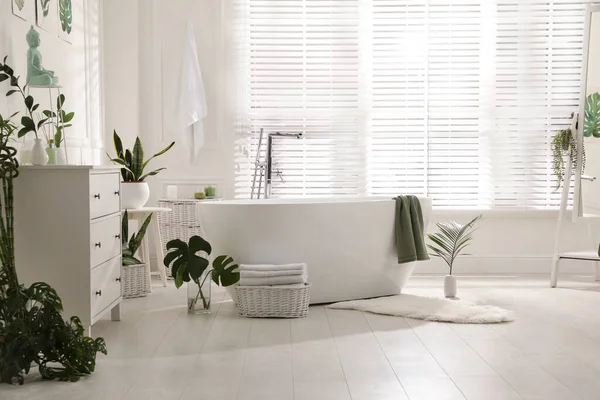 緑の植物とスタイリッシュなバスルームのインテリア ホームデザイン — ストック写真