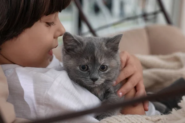 Mignon Petit Garçon Avec Chaton Dans Chaise Maison Gros Plan — Photo