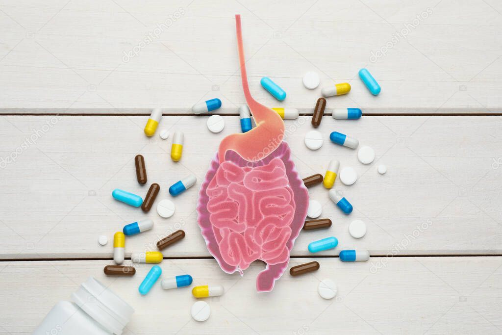 Paper intestine cutout and many different pills on white wooden background, flat lay