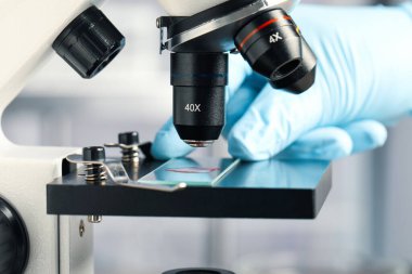 Bilimadamı laboratuarda mikroskop altında kırmızı sıvı örneğini inceliyor.