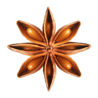 Beyaz üzerinde izole edilmiş Aromatik kuru anason yıldızı