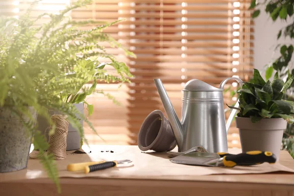 Güzel ev bitkileri ve bahçe aletleri içerideki masada.