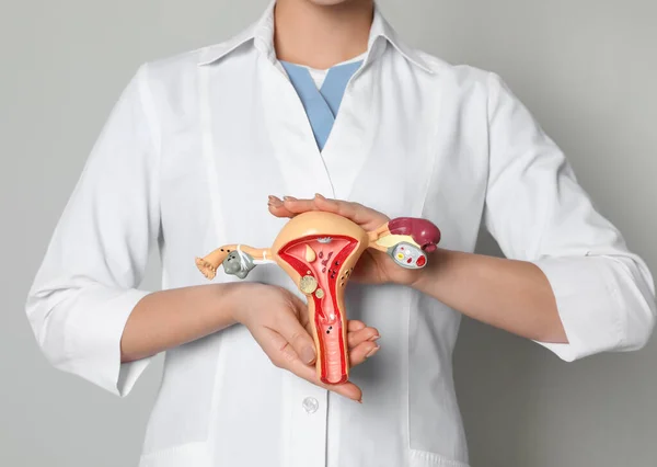 Doctor Demostrando Modelo Sistema Reproductivo Femenino Sobre Fondo Gris Claro — Foto de Stock