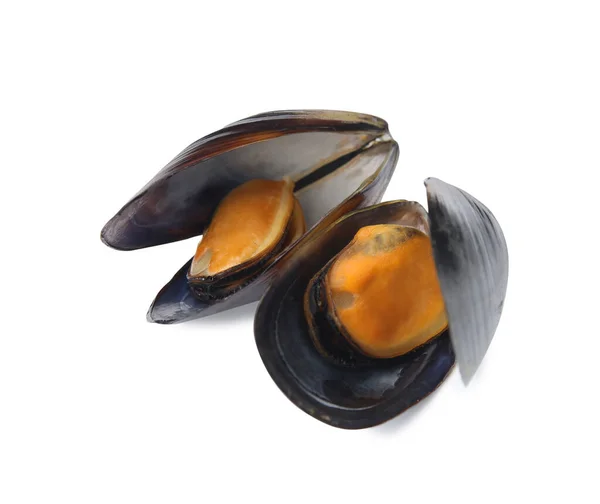 Deliziose Cozze Cotte Conchiglie Sfondo Bianco — Foto Stock