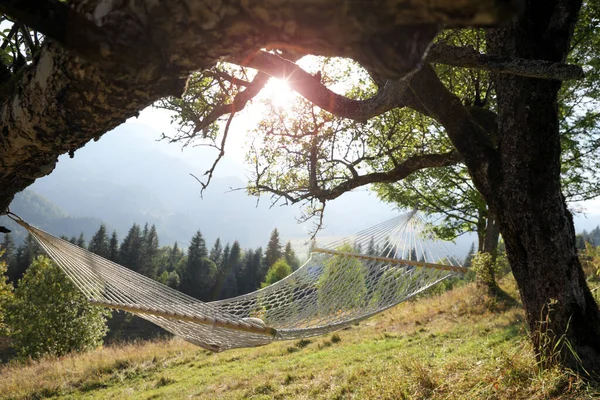 Bekväm Netto Hängmatta Utomhus Solig Dag — Stockfoto