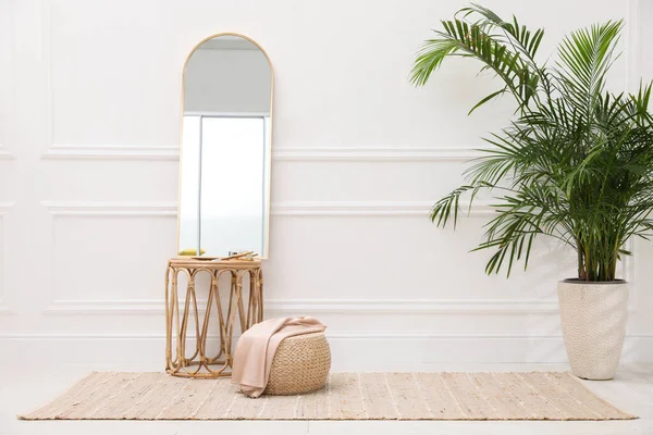 Intérieur Élégant Avec Tapis Beige Miroir Plante — Photo