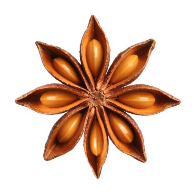 Beyaz üzerinde izole edilmiş Aromatik kuru anason yıldızı