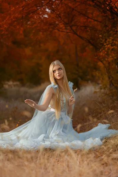 Krásná Dívka Sobě Pohádkové Šaty Podzimním Lese — Stock fotografie