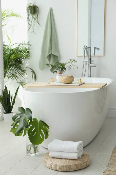 Stilvolles Badezimmer Mit Moderner Badewanne Zimmerpflanzen Und Schönem Dekor Wohndesign — Stockfoto