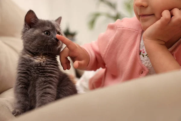 可爱的小女孩 家里沙发上有小猫 特写镜头 幼小的宠物 — 图库照片