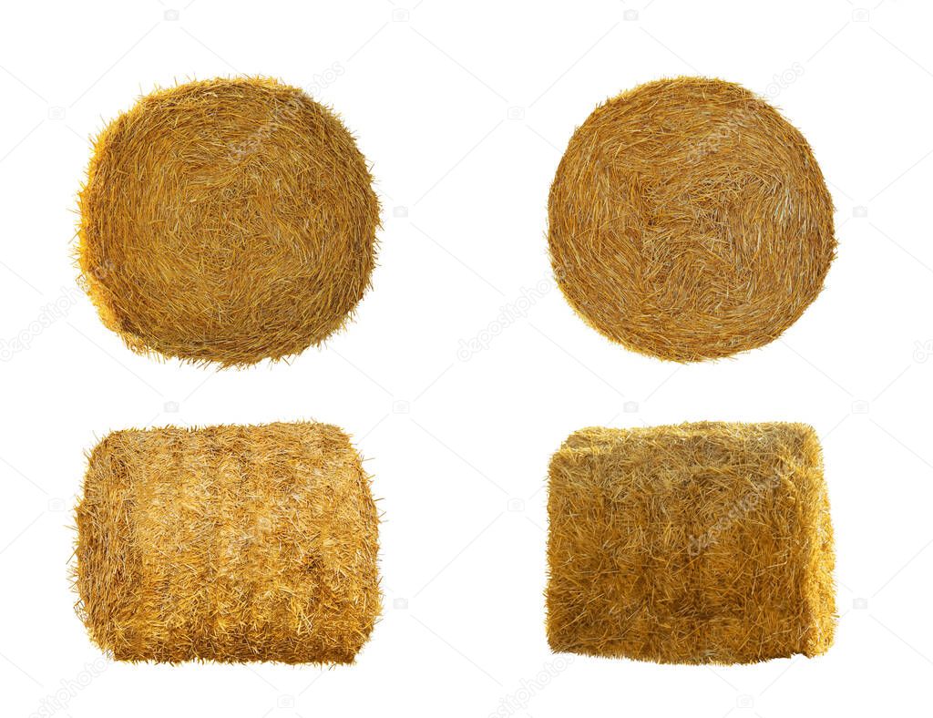 Set with dried straw bales on white background 